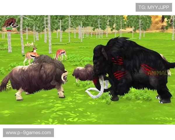 五种动物齐聚一堂，狮子熊猫猴子兔子老虎转盘挑战大比拼